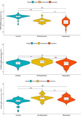 COMT, 5-HTR2A, and SLC6A4 mRNA Expressions in First-Episode Antipsychotic-Naïve Schizophrenia and Association With Treatment Outcomes